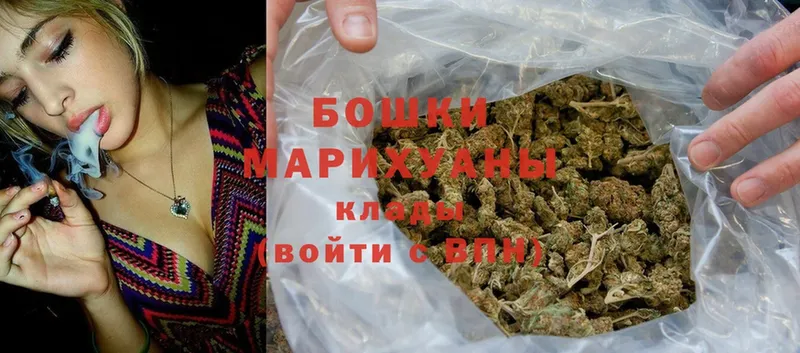 Марихуана OG Kush  Сланцы 